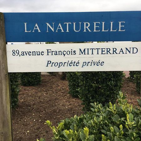 Vue Mer Sur La Cote D'Opale, Studio La Naturelle Pour 4 Personnes , Вимере Экстерьер фото